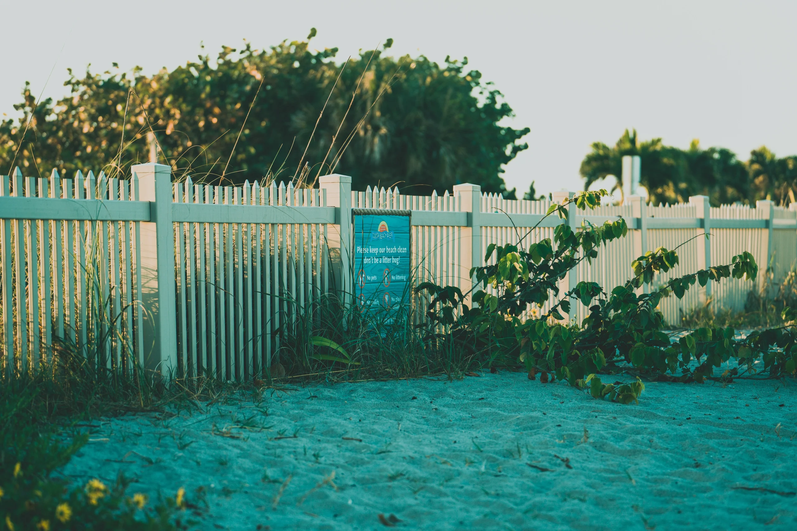 pexels-connorscottmcmanus-11988794 | | Manny's Exterior Design
