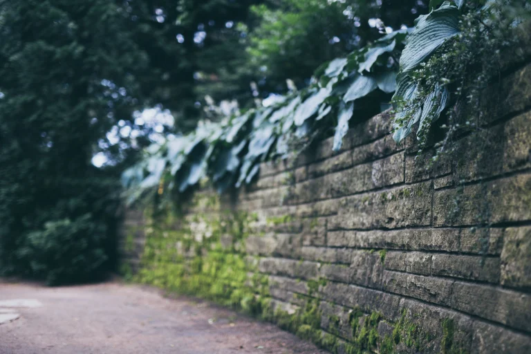 Why Your Retaining Wall Is Leaning (And What It Takes to Fix It)