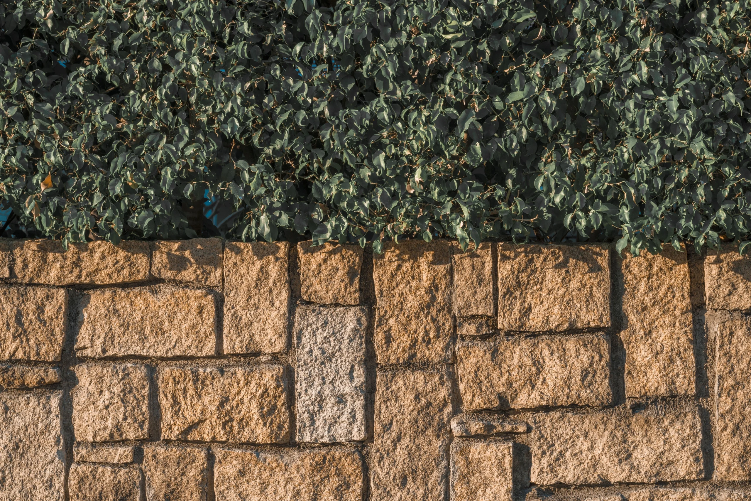 pexels-v1nhdotcom-27675503 | | Manny's Exterior Design